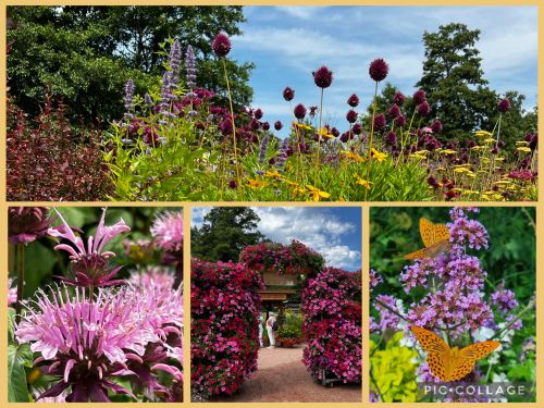 Impressionen der Landesgartenschau: Collage mit Bildern von bunten Blumen und Schmetterlingen
