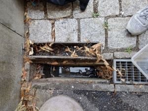 Eine verschmutzte Ablaufrinne, in der sich Wasser gestaut hat.