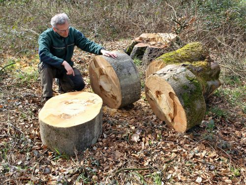 Revierleiter Hautz im Wald